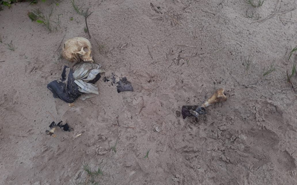 Ossada Humana é encontrada em Itaipuaçu em Maricá-RJ