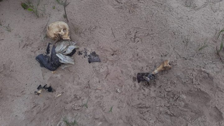 Ossada Humana é encontrada em Itaipuaçu em Maricá-RJ