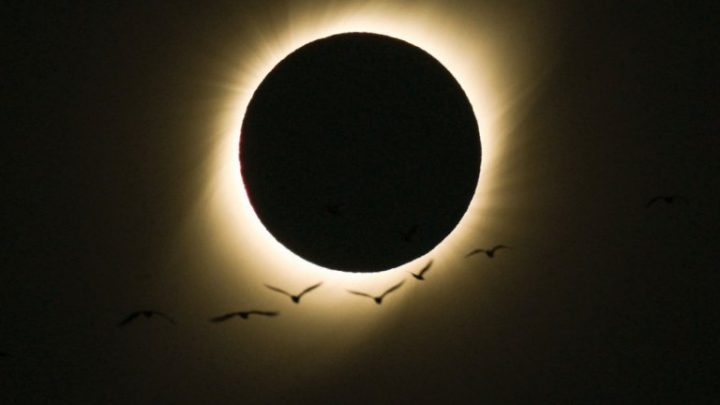 Brasil terá eclipse solar parcial hoje, entre meio-dia e 15h