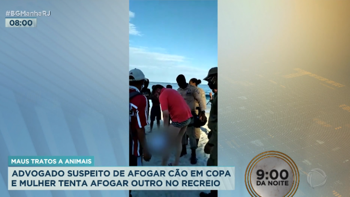 Advogado é preso após matar cachorro por afogamento no Rio