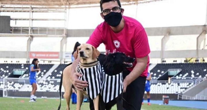 Brasileirão feminino: Animais abandonados entram em campo e roubam a cena no Engenhão