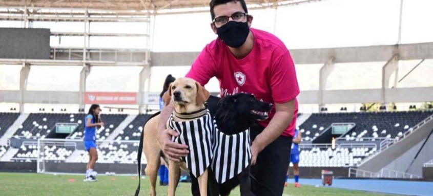 Brasileirão feminino: Animais abandonados entram em campo e roubam a cena no Engenhão Brasileirão feminino: Animais abandonados entram em campo e roubam a cena no Engenhão