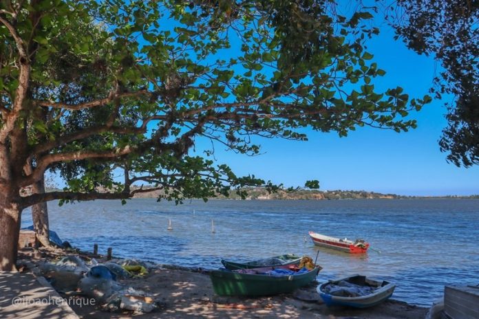 Prefeitura de Maricá aciona INEA sobre fenômeno recorrente de mortandade de peixes nas lagoas Prefeitura de Maricá aciona INEA sobre fenômeno recorrente de mortandade de peixes nas lagoas