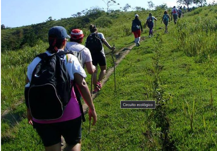 Circuito Ecológico Caminhos de Maricá leva participantes à trilha na Pedra do Silvado neste sábado