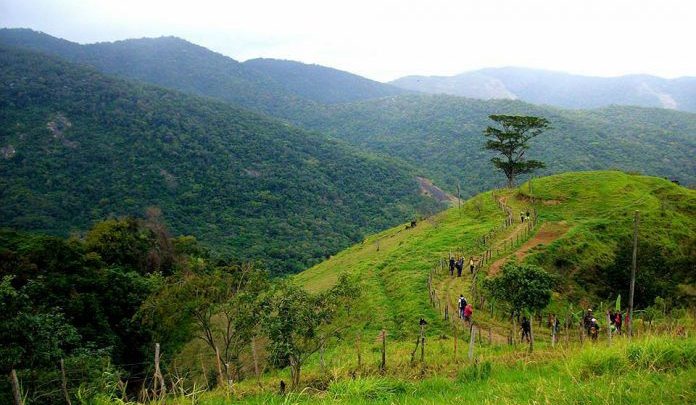 Maricá cria regime especial de tributação para “moedas verdes” e iniciativas ambientais