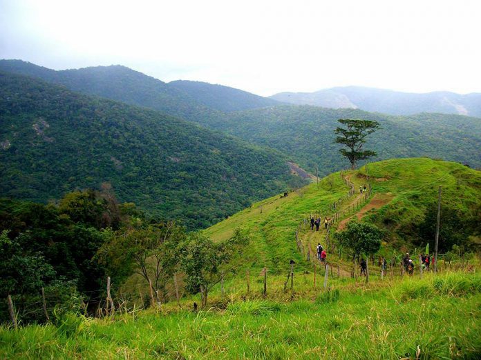 Maricá cria regime especial de tributação para “moedas verdes” e iniciativas ambientais