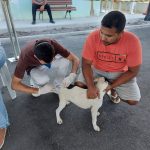 Maricá imuniza mais de 19 mil animais contra a raiva Maricá imuniza mais de 19 mil animais contra a raiva