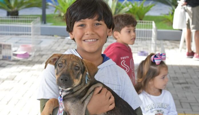 Feira de adoção: 12 animais ganham novo lar