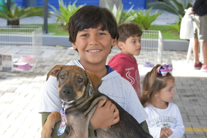 Feira de adoção: 12 animais ganham novo lar Feira de adoção: 12 animais ganham novo lar