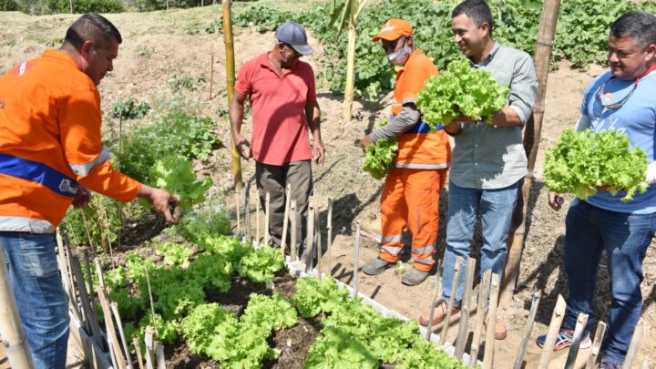 Maricá é selecionada para projeto nacional de políticas públicas sobre alimentação saudável