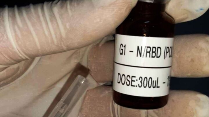 Covid-19: vacina brasileira mira variantes e facilidades logísticas