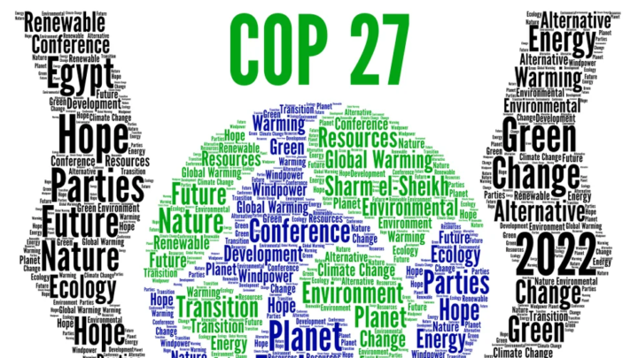 Secretário de Agricultura representa Maricá em painel na COP27
