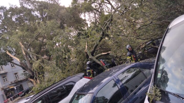 O “fenómeno extremo” em Alcântara (Lisboa) foi um tornado cientificamente fraco mas empiricamente forte