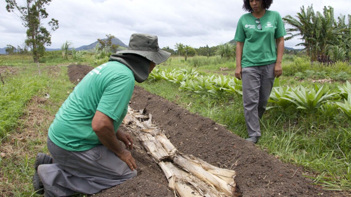Agricultores participam de curso gratuito de certificação de produtos orgânicos da Biotec Maricá Agricultores participam de curso gratuito de certificação de produtos orgânicos da Biotec Maricá