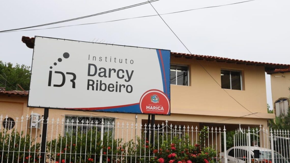 Instituto Darcy Ribeiro apresenta resultados preliminares do Censo da Cidadania