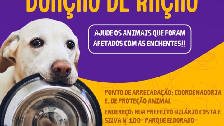 Prefeitura faz ação para atender animais de pessoas desabrigadas em Maricá