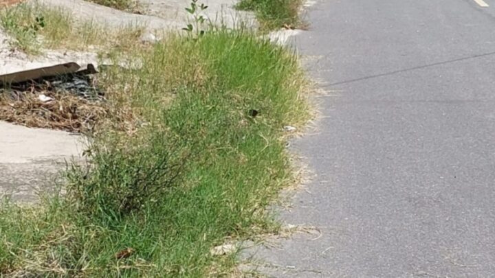 Serviço mal feito pela SOMAR recebe críticas de moradores de Bairro de Maricá