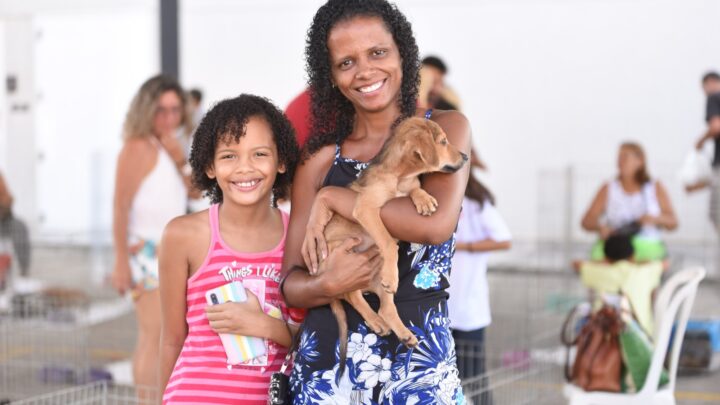 Campanha de doação da Prefeitura de Maricá garante novo lar para mais de 30 cães e gatos