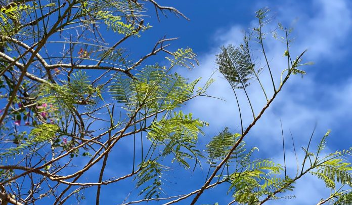 Tempo continua estável em Maricá no fim de semana