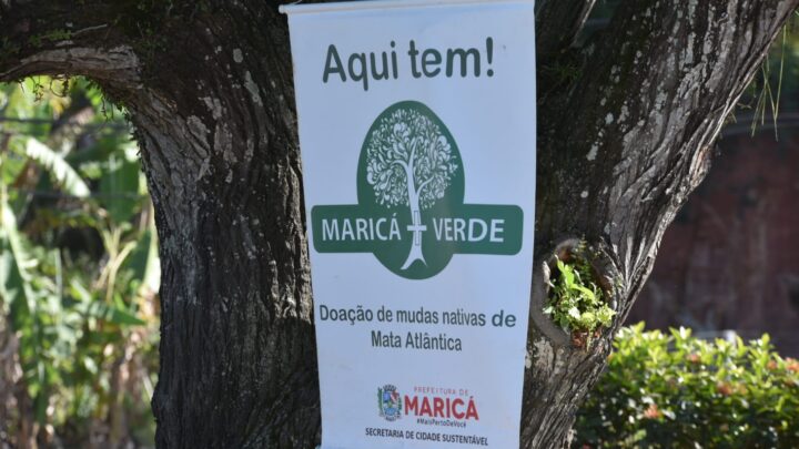 Maricá+Verde distribui mudas nativas da Mata Atlântica em Itapeba
