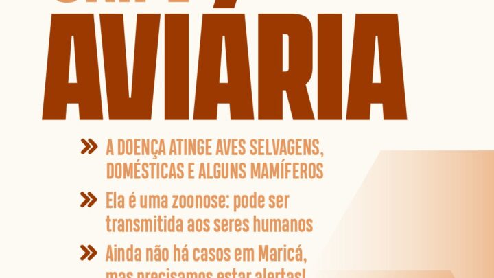 Prefeitura de Maricá divulga orientações para casos suspeitos de gripe aviária