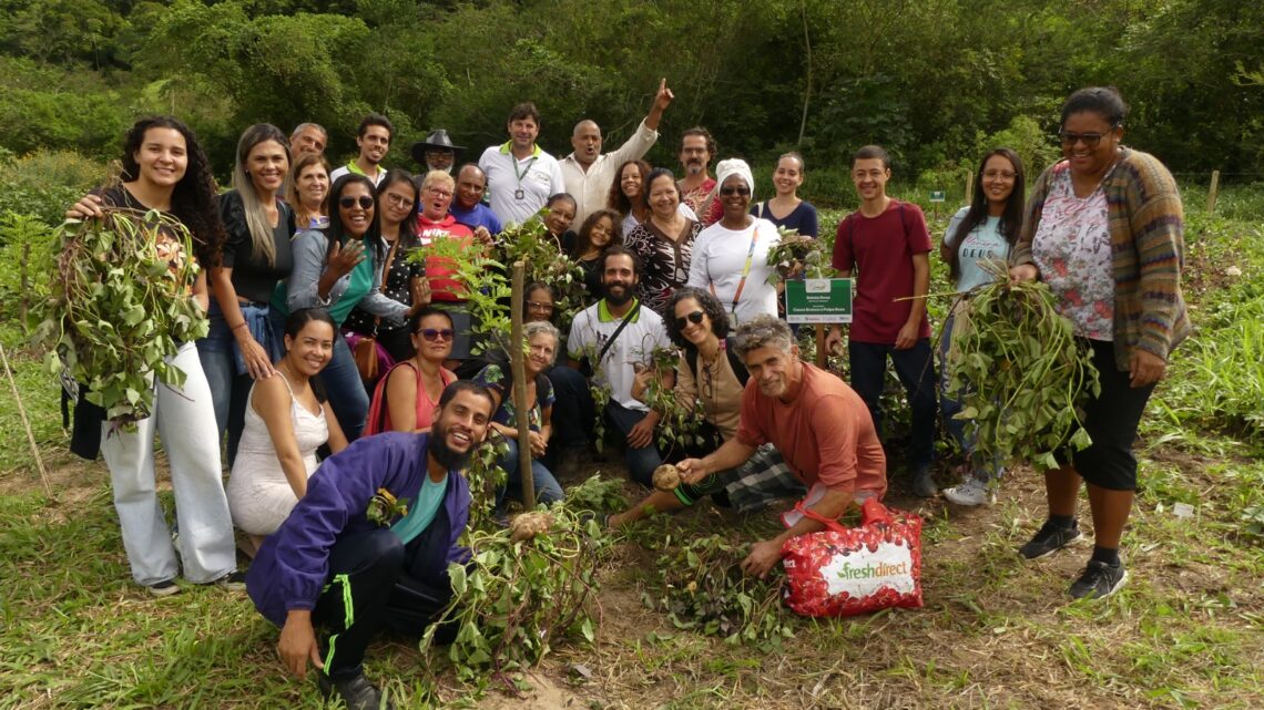 Produtores rurais de Maricá recebem orientações sobre plantio de batata-doce