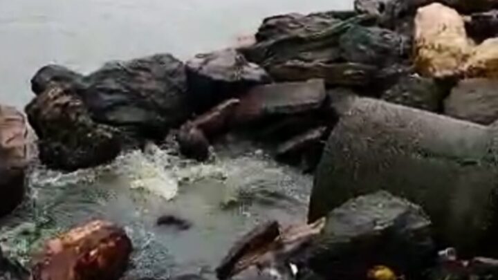“CRIME AMBIENTAL: Esgoto despejado em canal de Ponta Negra ameaça ecossistema e praia de Maricá