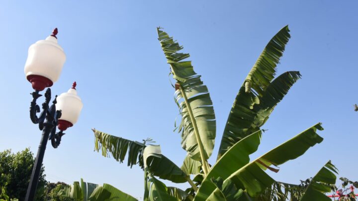 Tempo ficará instável em Maricá neste fim de semana
