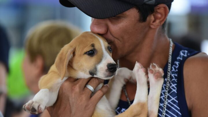 Protetores de animais de Maricá recebem primeiro pagamento do programa “Mumbucão”