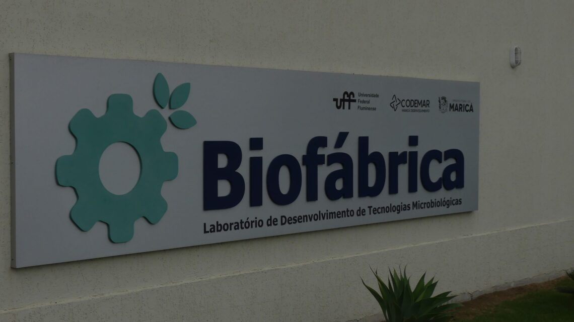 Lagoa Viva analisa bactérias capazes de degradar microplásticos em Maricá