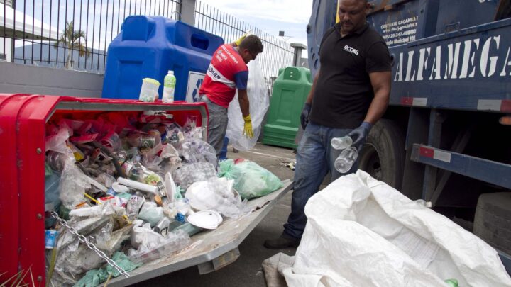 Programa de reciclagem interno da Codemar coleta 3 mil toneladas em 2023