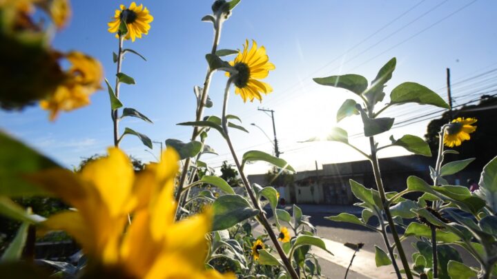 Maricá segue sem previsão de chuva até sexta-feira (22/12)