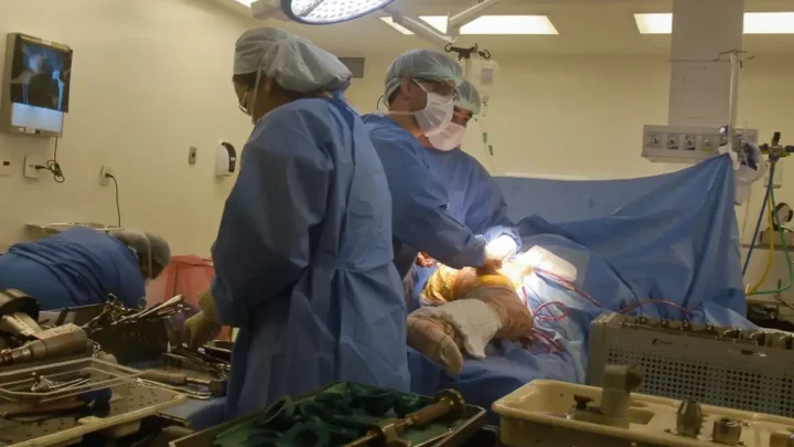 Instituições avaliam razões para troca de próteses de quadril e joelho