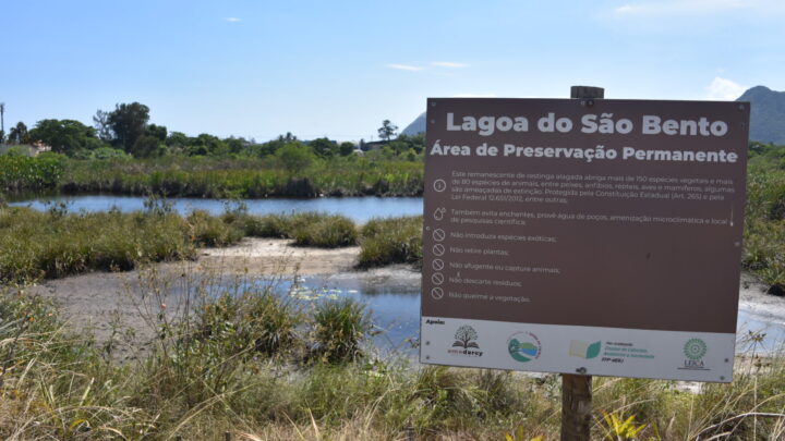 Maricá tem saldo positivo na conservação ambiental em 2023