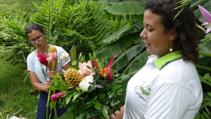 Em Maricá, plantas ornamentais florescem e abrem caminho para mais emprego e renda