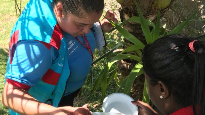 Mais de 100 mil residências foram visitadas em Maricá nas ações de combate à dengue
