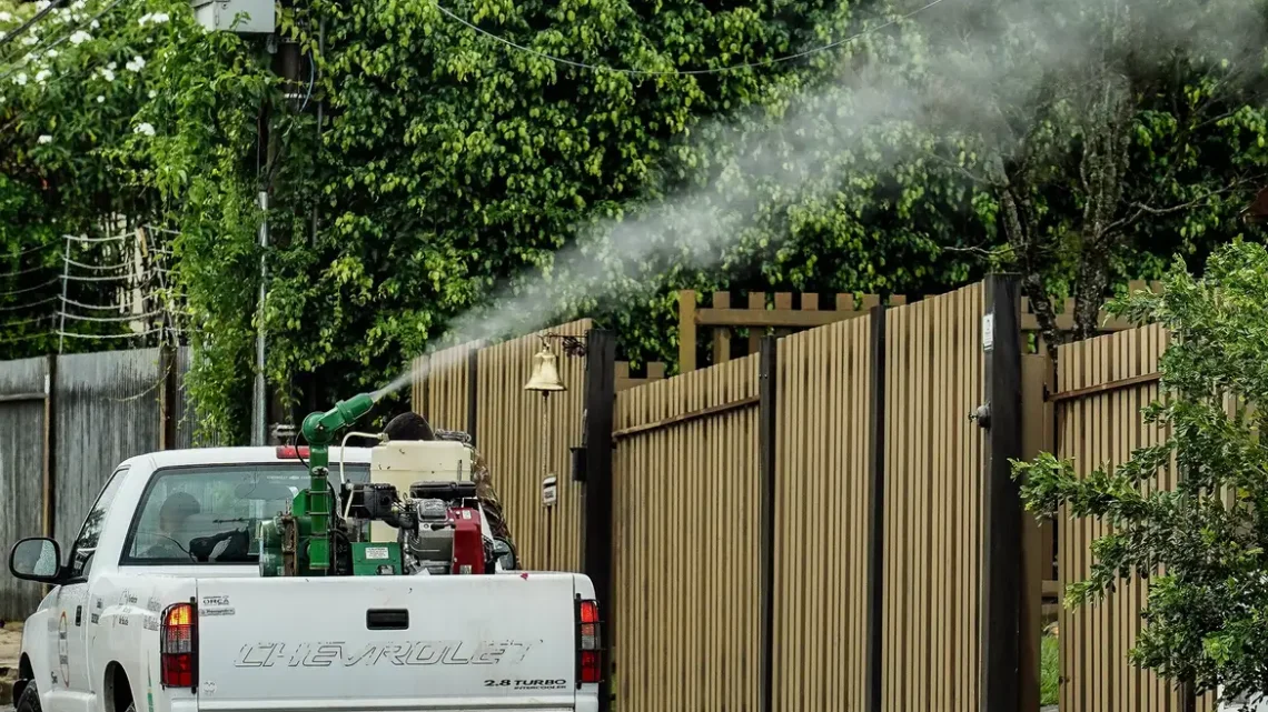 Rio de Janeiro confirma segunda morte por dengue