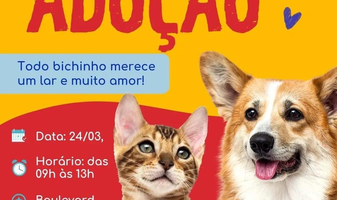 Maricá realiza mais uma edição da campanha de adoção de cães e gatos neste domingo (24/03)