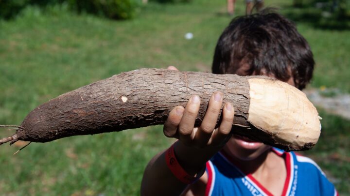 Alunos da rede municipal de Maricá aprendem sobre cultivos orgânicos e alimentação saudável