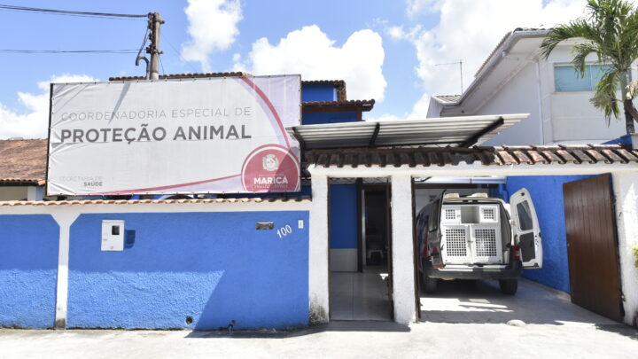 Proteção Animal tem novo número de atendimento