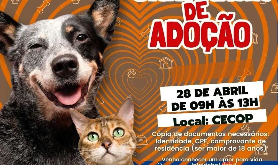 Prefeitura promove campanha de adoção de cães e gatos no Centro de Comércio Popular (Cecop)