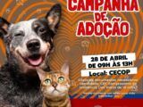 Prefeitura promove campanha de adoção de cães e gatos no Centro de Comércio Popular (Cecop)