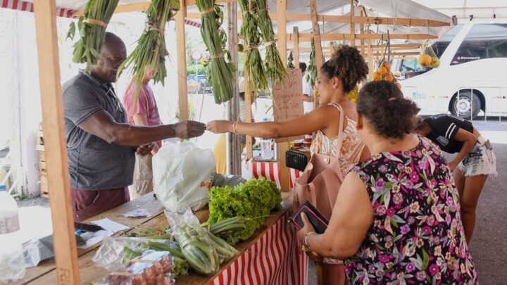 Feira da Agricultura Familiar em Araçatiba homenageia mês das mães