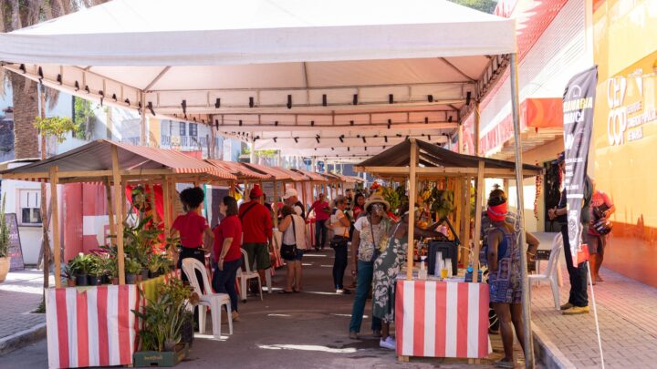 Feira de Agricultura Familiar é realizada em frente ao Centro de Comércio Popular