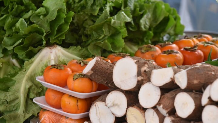 Feira de Agricultura Familiar acontece neste sábado (22/06) em Itaipuaçu