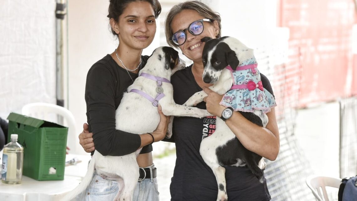 Proteção Animal consegue lar para nove cães e gatos