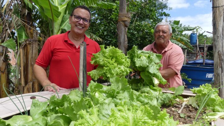 Feira Agroecológica da Horta Comunitária do Manu Manuela acontece neste sábado (7)