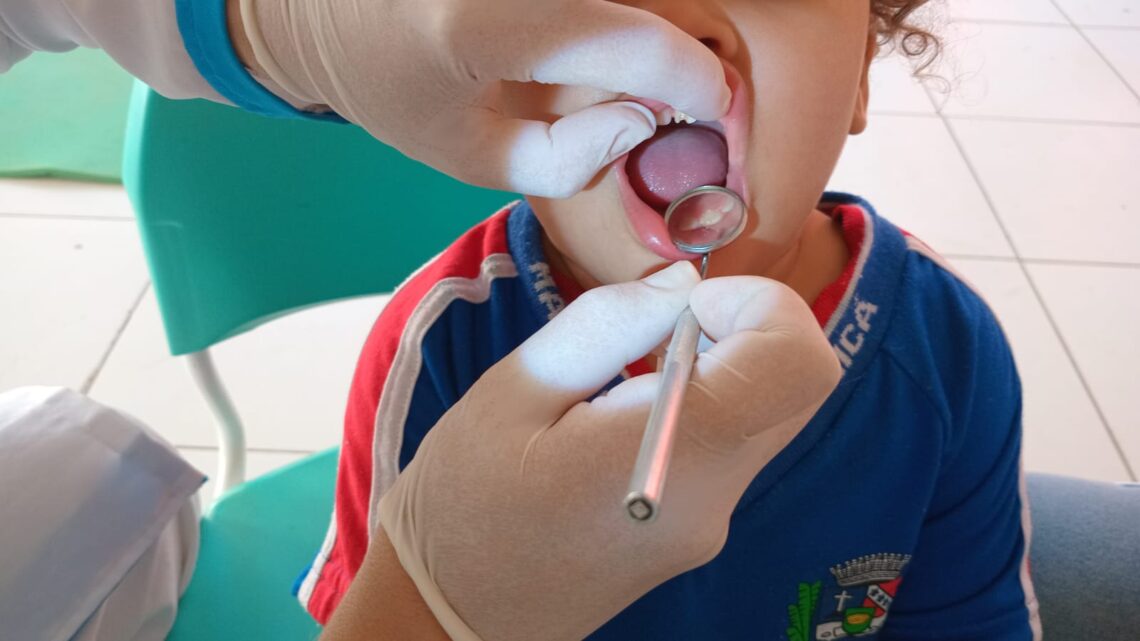 Dia D de Saúde Bucal nas escolas municipais promoveu o bem-estar de 463 crianças Dia D de Saúde Bucal nas escolas municipais promoveu o bem-estar de 463 crianças