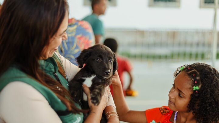 Bem-Estar Animal promove campanhas de adoção e castração