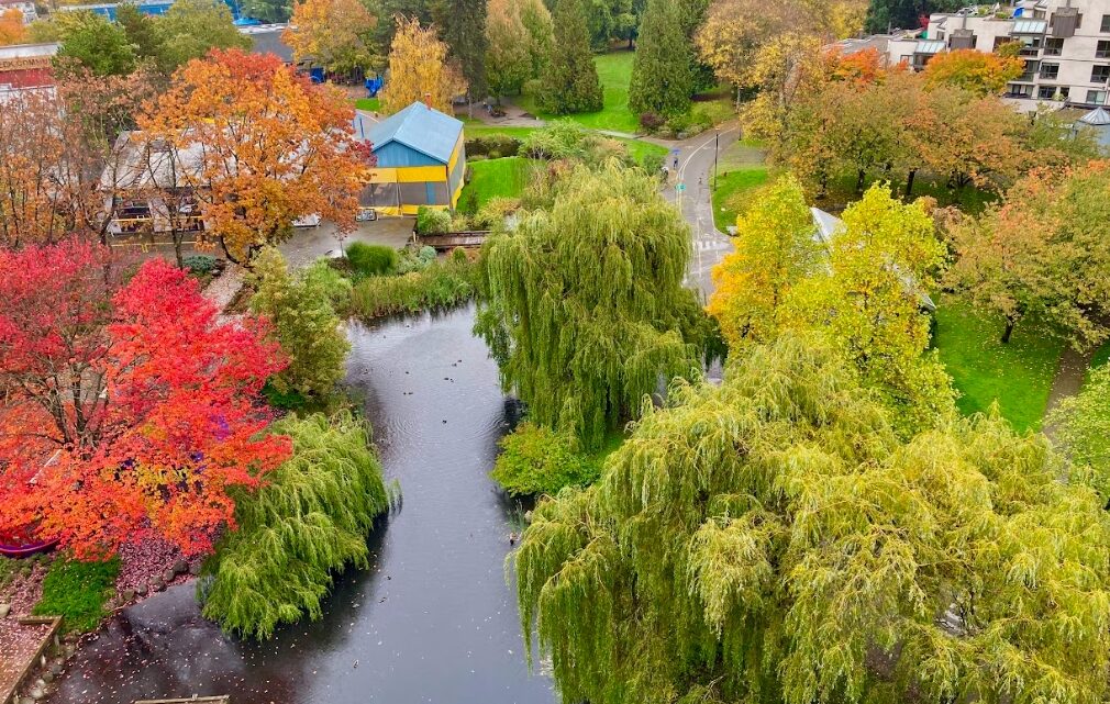 Saiba quais são as profissões em alta demanda no Canadá